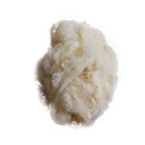 棉纺等涤纶短纤维厂家纷纷设法降低生产成本