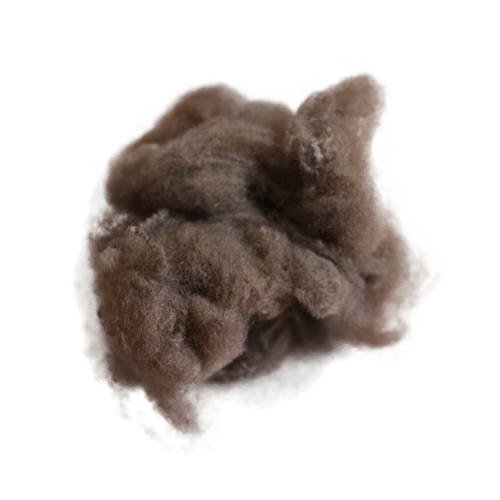 优质“大化纤”涤纶短纤维将成为棉纺织行业主导原料